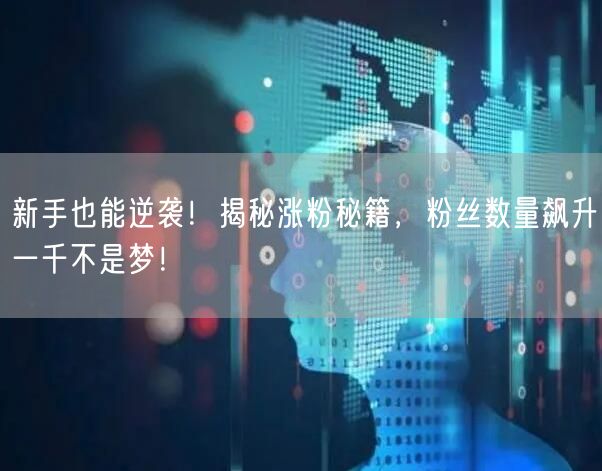 新手也能逆袭！揭秘涨粉秘籍，粉丝数量飙升一千不是梦！