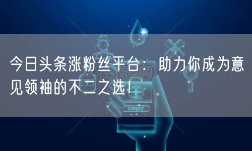 今日头条涨粉丝平台：助力你成为意见领袖的不二之选！