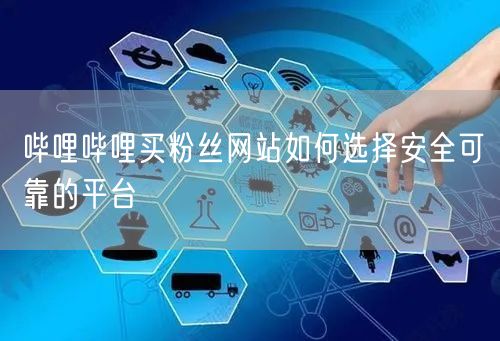哔哩哔哩买粉丝网站如何选择安全可靠的平台
