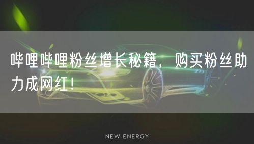 哔哩哔哩粉丝增长秘籍，购买粉丝助力成网红！