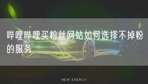 哔哩哔哩买粉丝网站如何选择不掉粉的服务