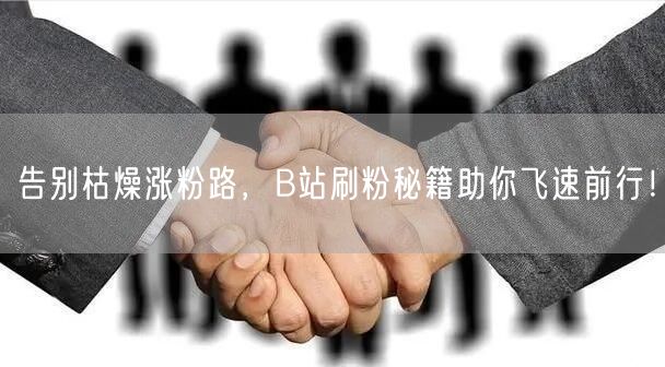 告别枯燥涨粉路，B站刷粉秘籍助你飞速前行！