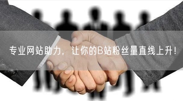 专业网站助力，让你的B站粉丝量直线上升！