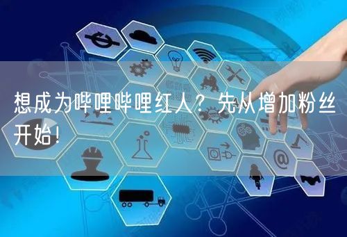 想成为哔哩哔哩红人？先从增加粉丝开始！