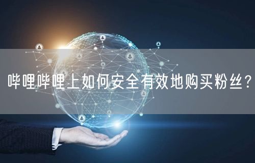 哔哩哔哩上如何安全有效地购买粉丝？