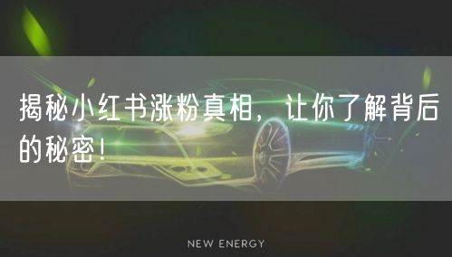 揭秘小红书涨粉真相，让你了解背后的秘密！