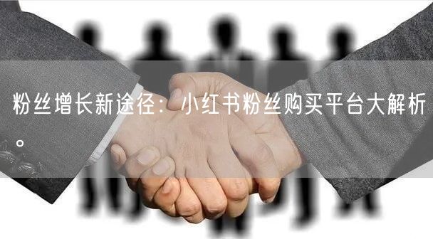 粉丝增长新途径：小红书粉丝购买平台大解析。