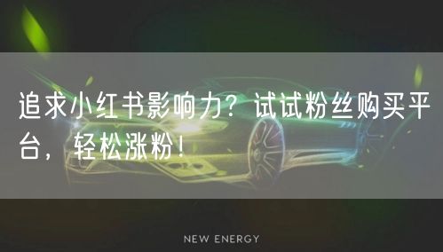追求小红书影响力？试试粉丝购买平台，轻松涨粉！