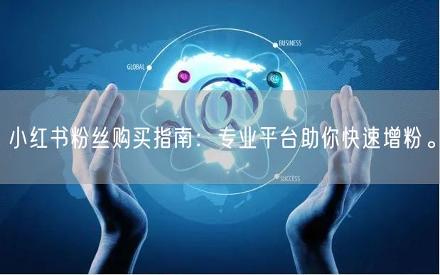 小红书粉丝购买指南：专业平台助你快速增粉。
