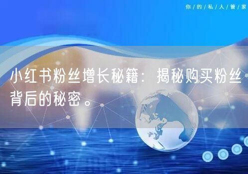 小红书粉丝增长秘籍：揭秘购买粉丝背后的秘密。