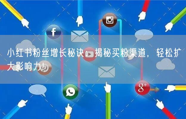 小红书粉丝增长秘诀：揭秘买粉渠道，轻松扩大影响力！