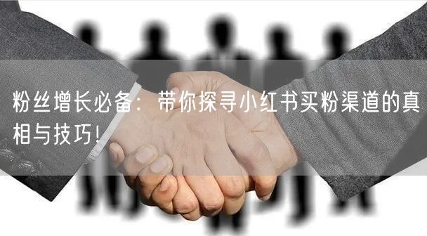 粉丝增长必备：带你探寻小红书买粉渠道的真相与技巧！