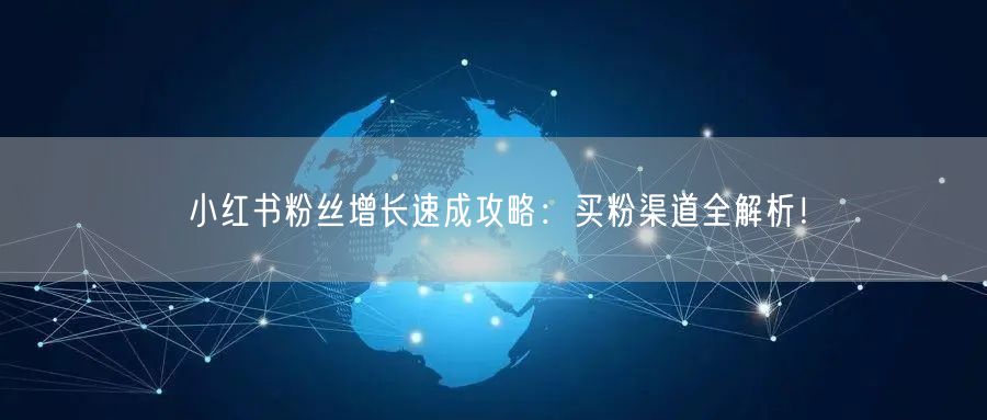 小红书粉丝增长速成攻略：买粉渠道全解析！