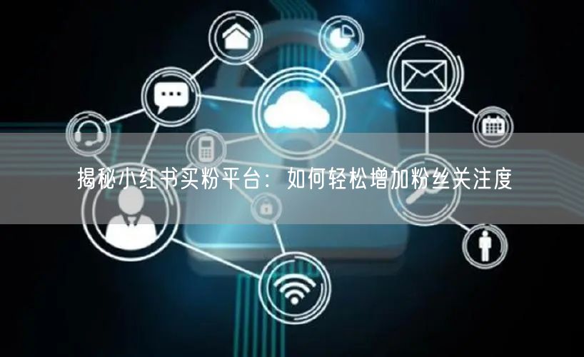 揭秘小红书买粉平台：如何轻松增加粉丝关注度