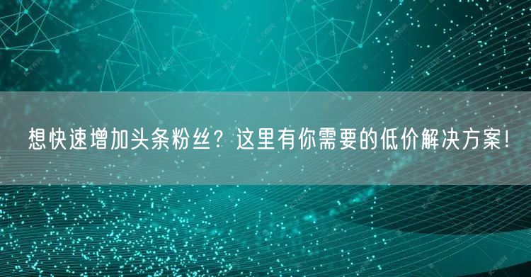 想快速增加头条粉丝？这里有你需要的低价解决方案！