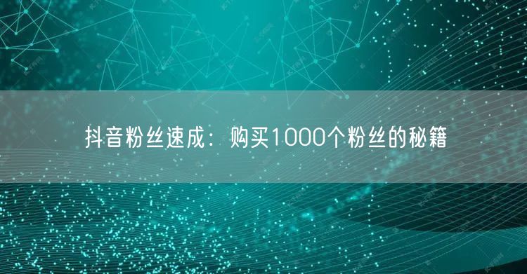 抖音粉丝速成：购买1000个粉丝的秘籍