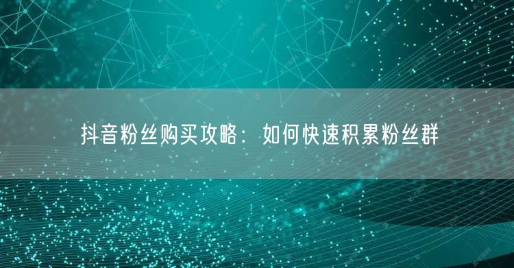 抖音粉丝购买攻略：如何快速积累粉丝群