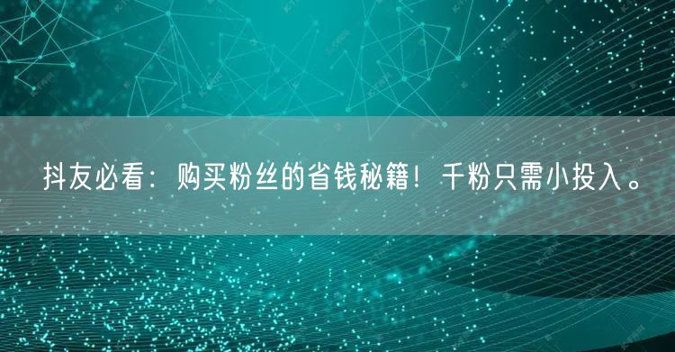 抖友必看：购买粉丝的省钱秘籍！千粉只需小投入。