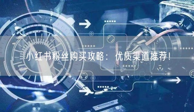小红书粉丝购买攻略：优质渠道推荐！