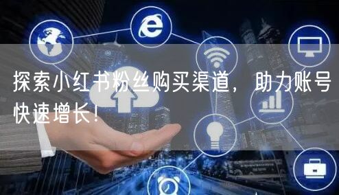 探索小红书粉丝购买渠道，助力账号快速增长！