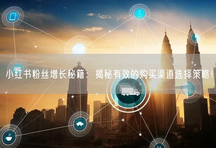 小红书粉丝增长秘籍：揭秘有效的购买渠道选择策略！