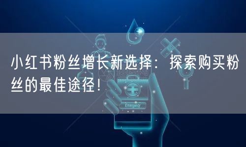 小红书粉丝增长新选择：探索购买粉丝的最佳途径！
