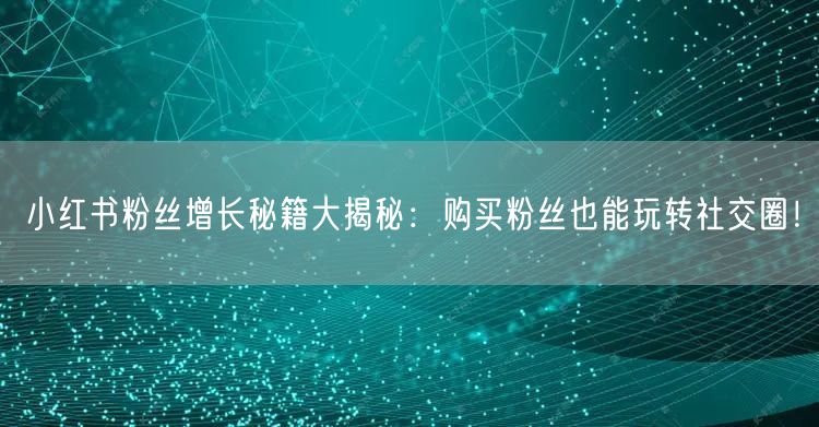 小红书粉丝增长秘籍大揭秘：购买粉丝也能玩转社交圈！