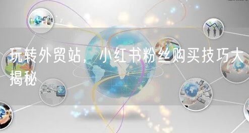 玩转外贸站，小红书粉丝购买技巧大揭秘