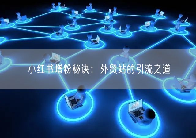 小红书增粉秘诀：外贸站的引流之道