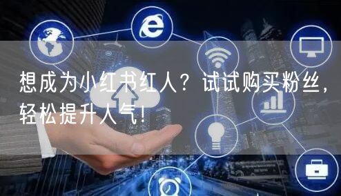 想成为小红书红人？试试购买粉丝，轻松提升人气！