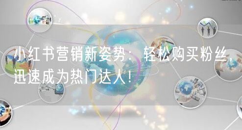 小红书营销新姿势：轻松购买粉丝，迅速成为热门达人！