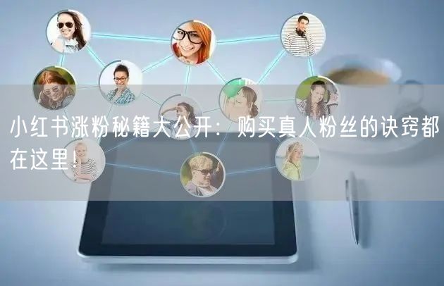 小红书涨粉秘籍大公开：购买真人粉丝的诀窍都在这里！