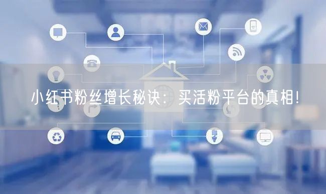 小红书粉丝增长秘诀：买活粉平台的真相！