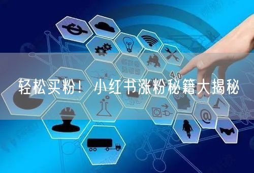 轻松买粉！小红书涨粉秘籍大揭秘