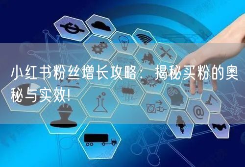 小红书粉丝增长攻略：揭秘买粉的奥秘与实效!