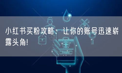小红书买粉攻略：让你的账号迅速崭露头角!