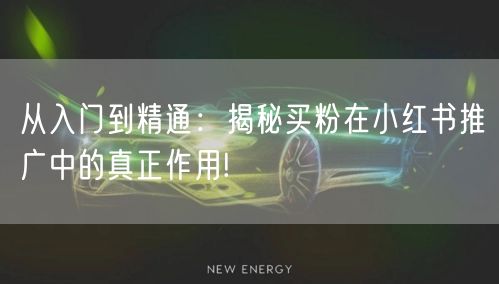 从入门到精通：揭秘买粉在小红书推广中的真正作用!