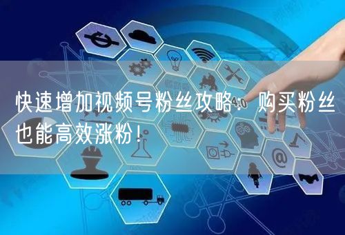 快速增加视频号粉丝攻略：购买粉丝也能高效涨粉！