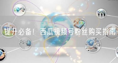 提升必备！西瓜视频号粉丝购买指南