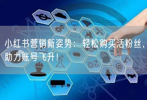 小红书营销新姿势：轻松购买活粉丝，助力账号飞升！